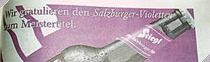 Geschichte Austria Salzburg, Fußball Salzburg, Red Bull Salzburg, RedBulls, Fußball Österreich